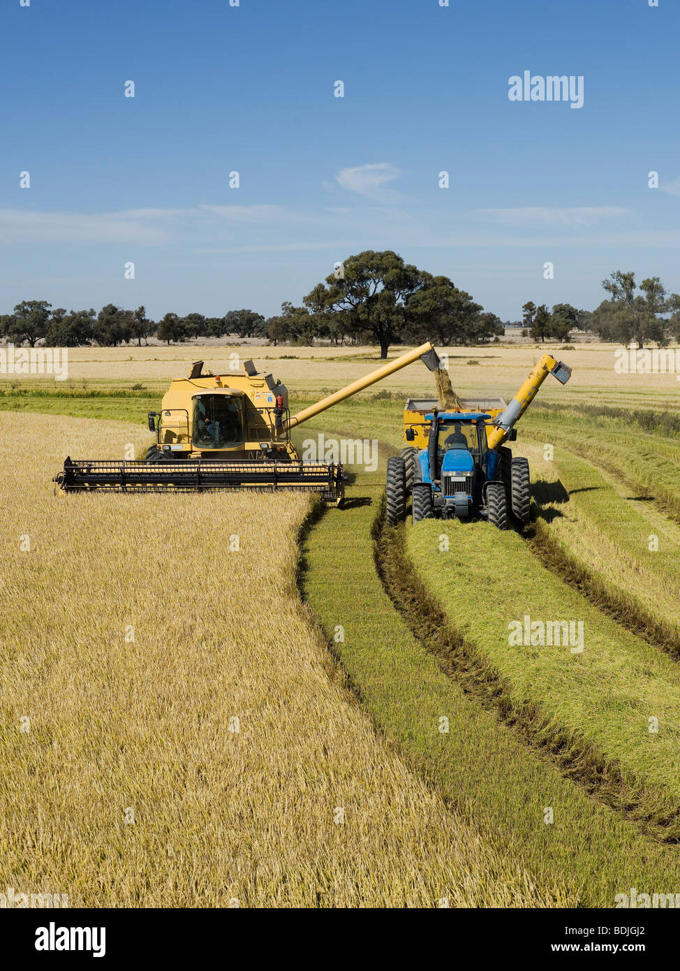 Deniliquin new south wales hi-res stock photography and images - Alamy
