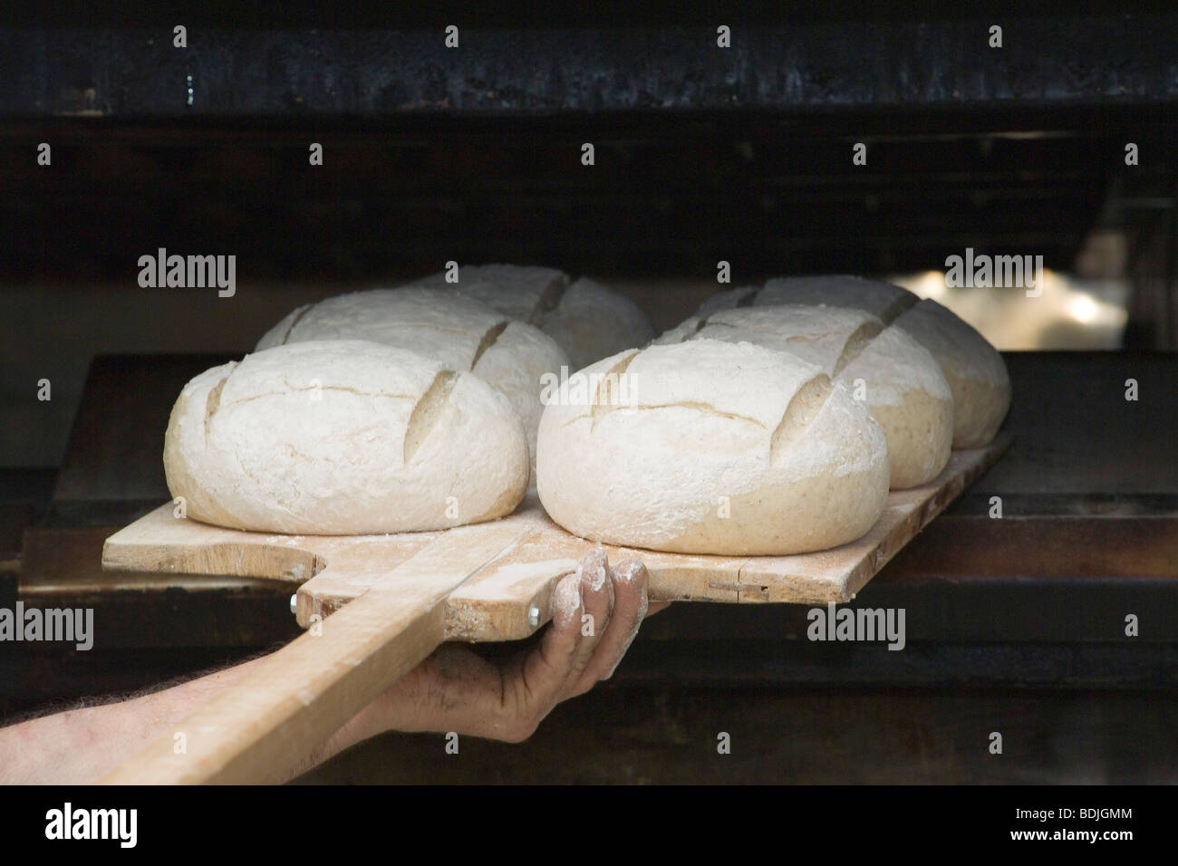 https://c8.alamy.com/comp/BDJGMM/baker-placing-loaves-of-sourdough-bread-into-oven-BDJGMM.jpg