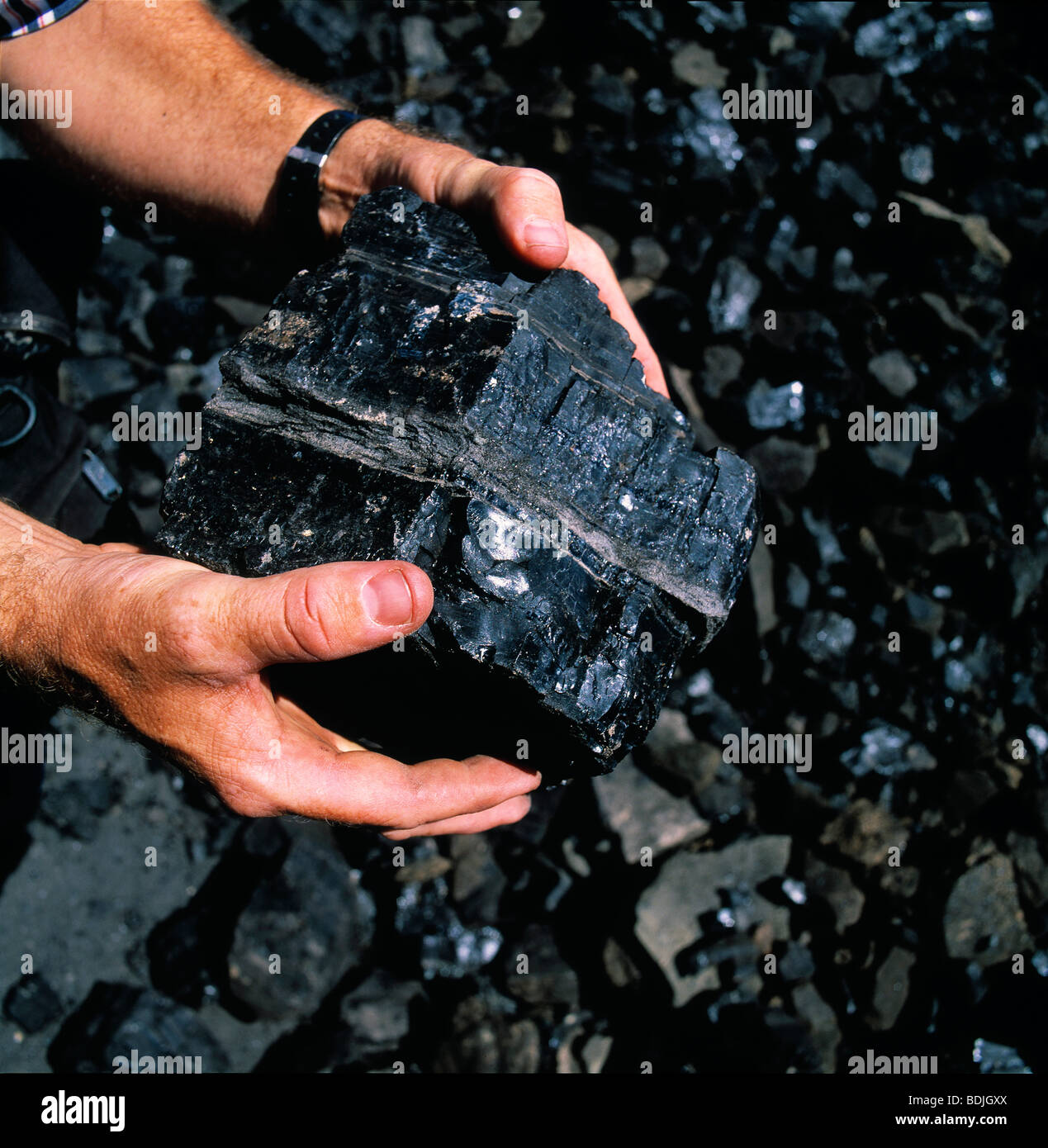 Hands Holding Black Coal Stock Photo