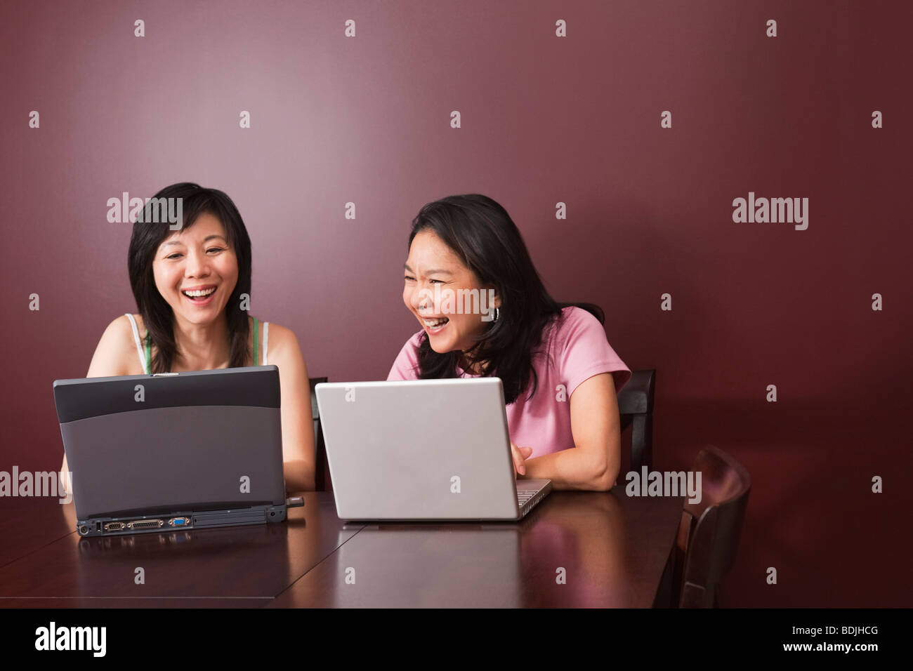 Two Women Using Laptop Computers Stock Photo