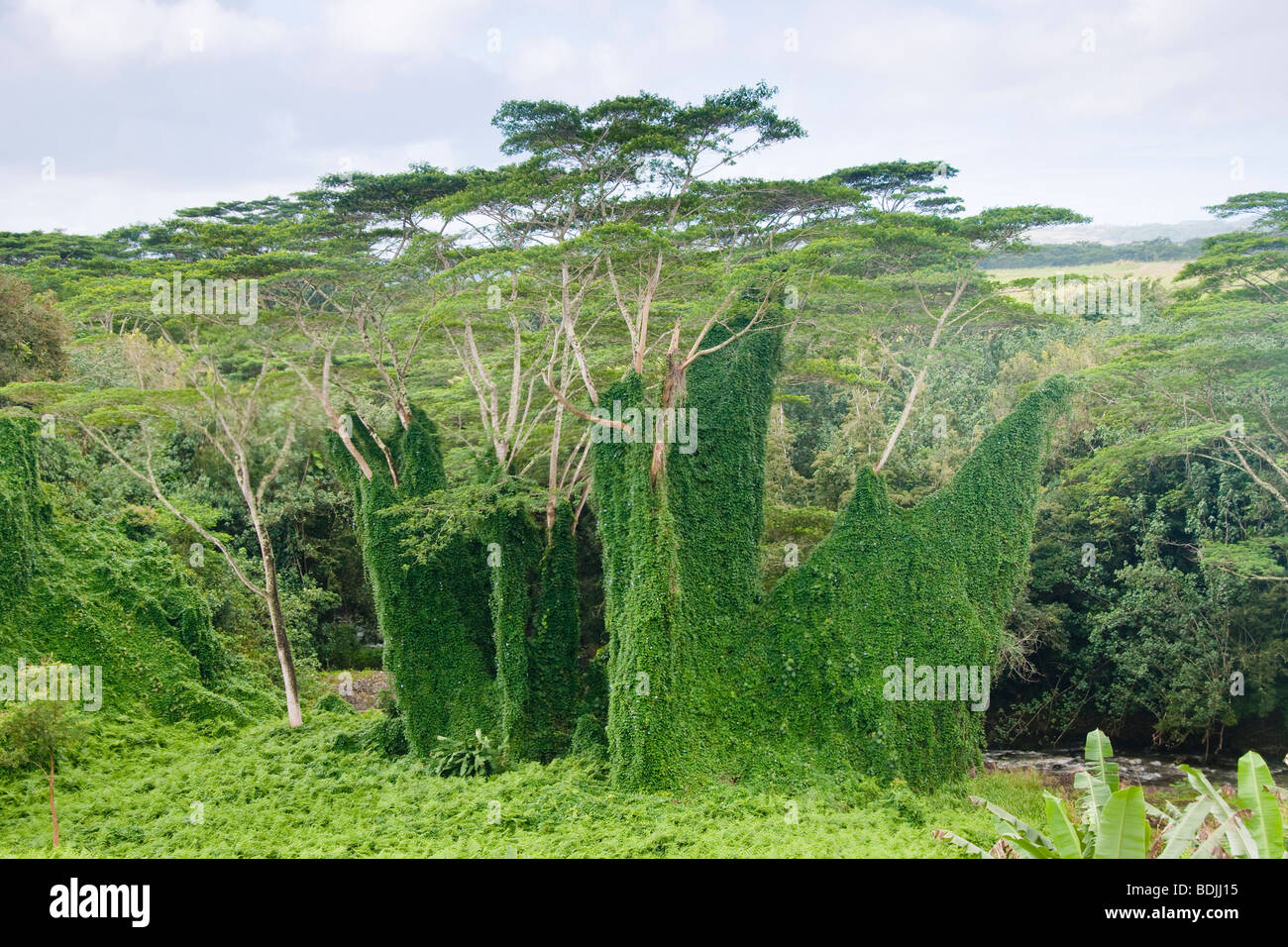 Kauai aadheenam hindu monastery hires stock photography and images Alamy