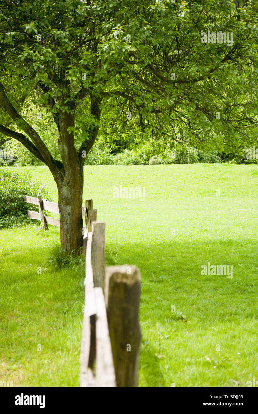 Fence and Tree in Field Stock Photo - Alamy