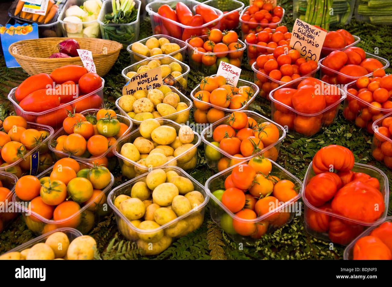 Farmer's Market, Campo dei Fiori, Rome, Latium, Italy Stock Photo