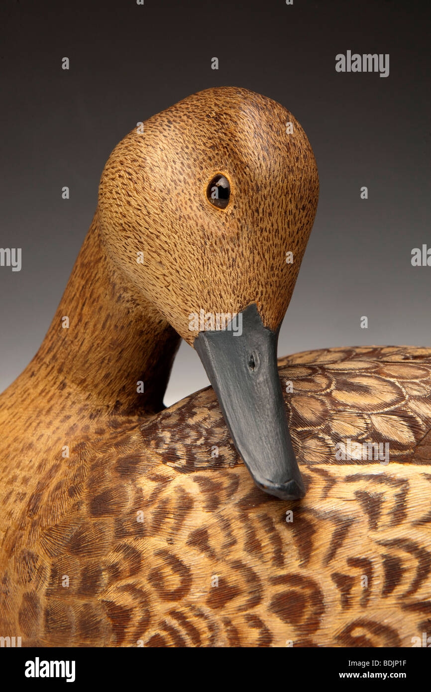 Crafts, high class pintail decoy duck painted woodcarving by Scotish carver Peter Mallinson head detail Stock Photo