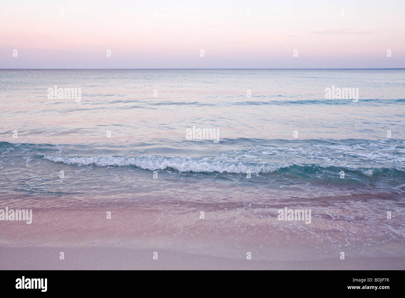Moll Photo Son moll hi-res stock photography and images - Alamy