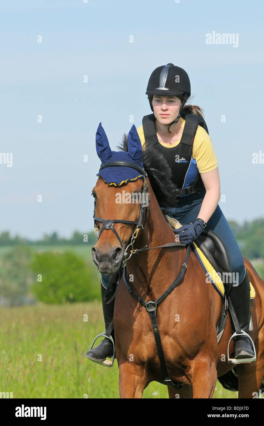 girl riding on American Standardbred horse Stock Photo
