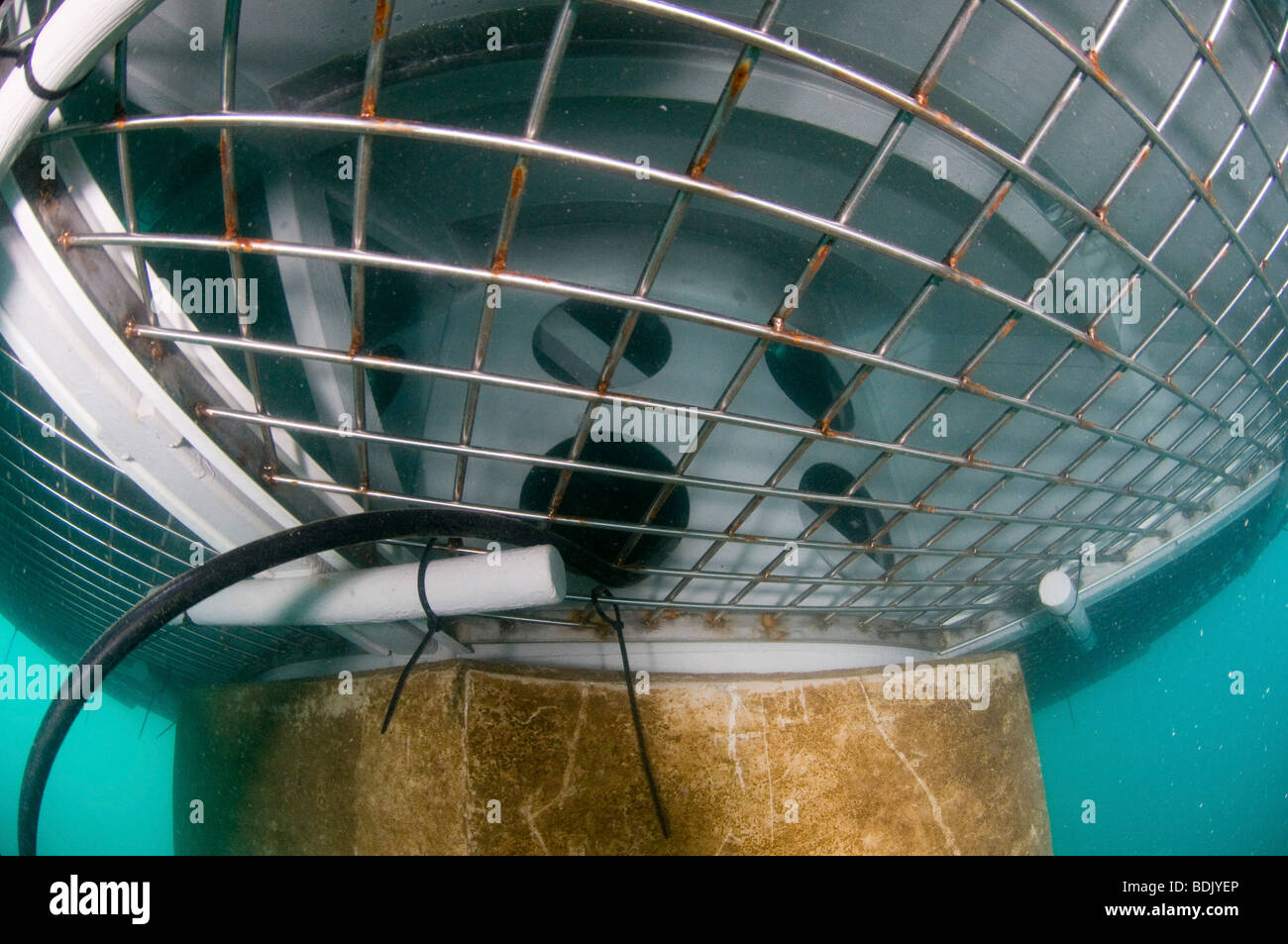 Israel, Hadera, underwater photography of the offshore suction head for the desalinization plant. Stock Photo