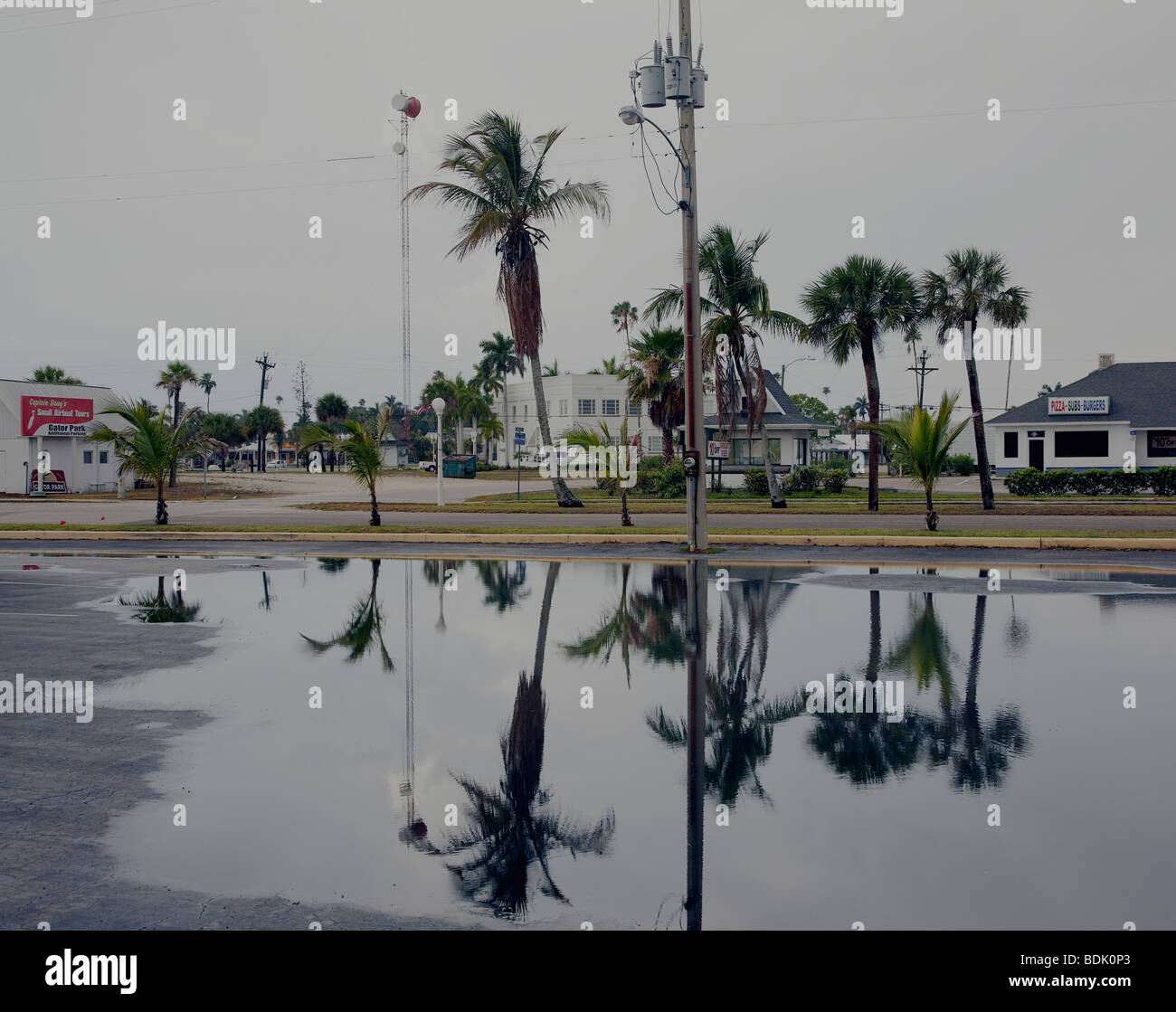 reflection of palm trees in puddle in the town Everglade City, Florida Stock Photo