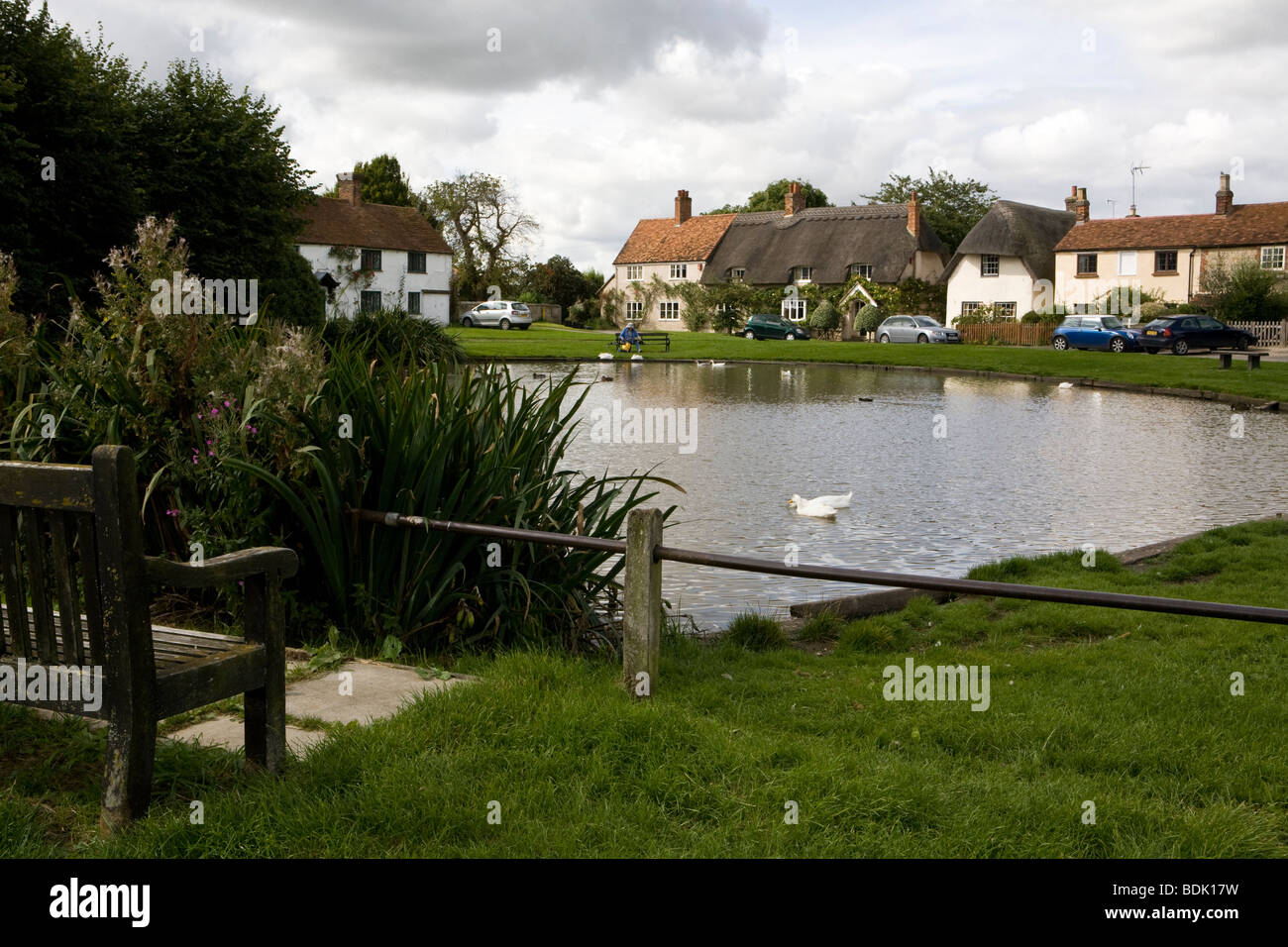 pond with ducks in an English village Stock Photo