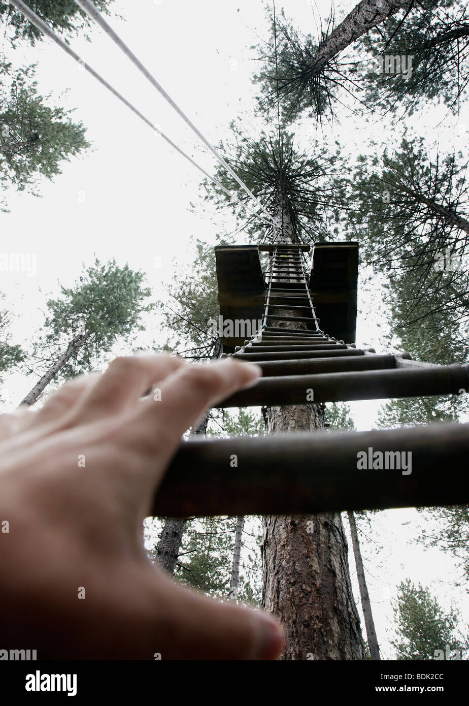 a hand reaches to grab a rope ladder to climb to the top of a tree Stock Photo