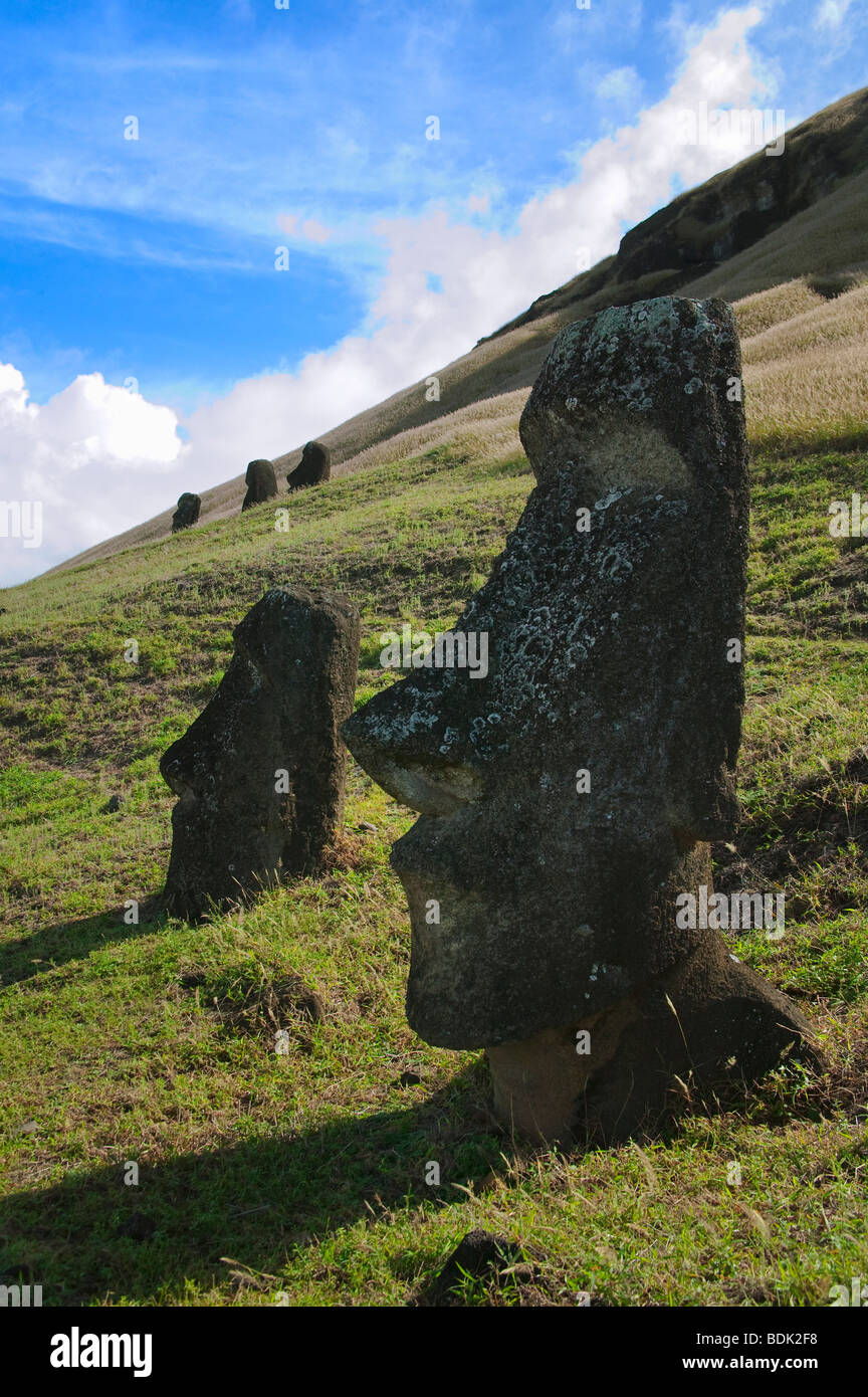 Quarry of Maios (volcanic stone statues) still lying on the ground, Rano Raraku, Easter Island, Chile Stock Photo