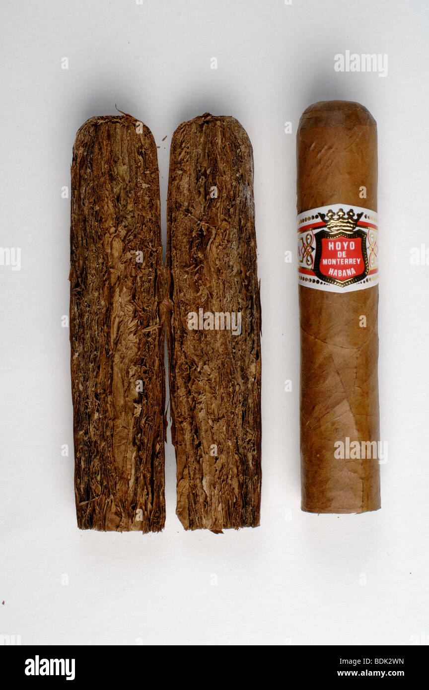 Whole and halved Hoyo de Monterrey cigar Stock Photo
