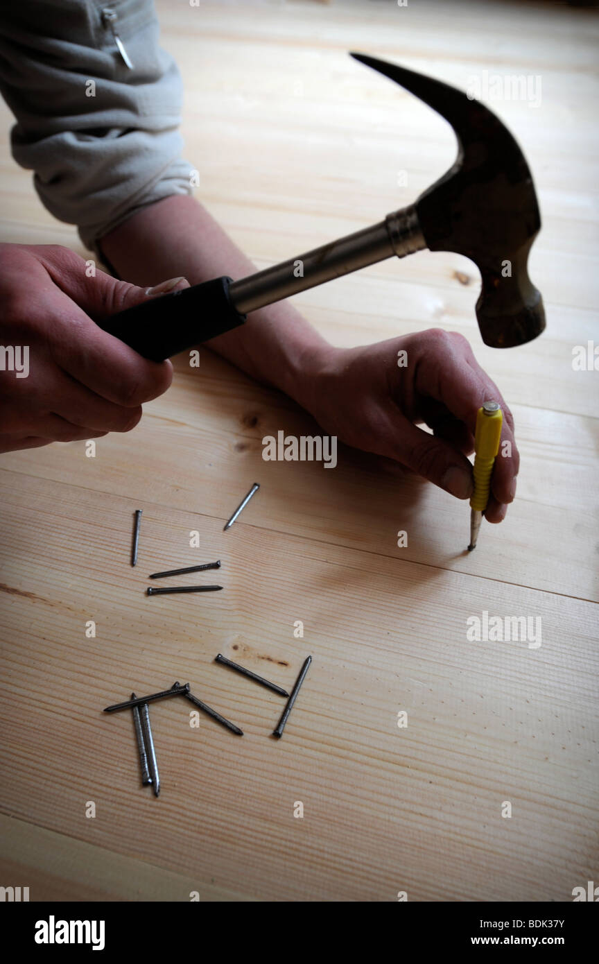 USING A PUNCH TO DRIVE HOME NAILS WITHOUT MARKING WOODEN FLOORING PLANKS Stock Photo