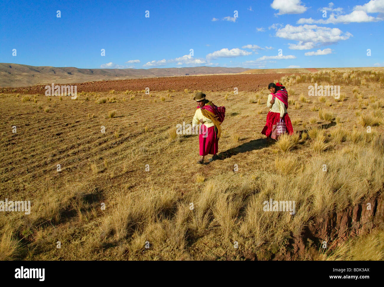 Indian women on the meadow, La Paz, Bolivia Stock Photo