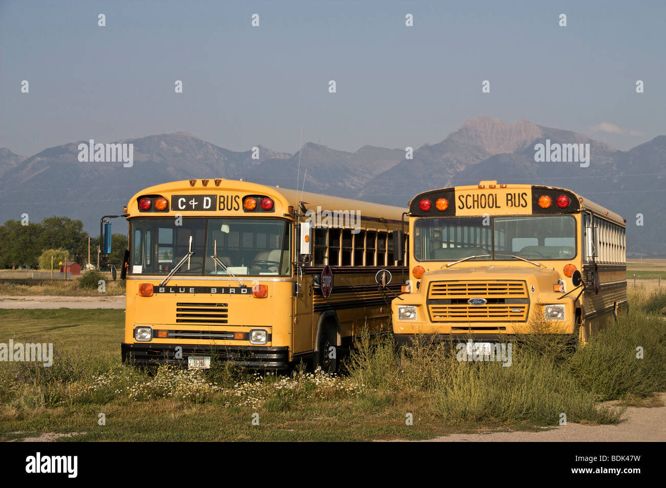 School buses. Charlo, Montana. MIssion Mountains in background Stock