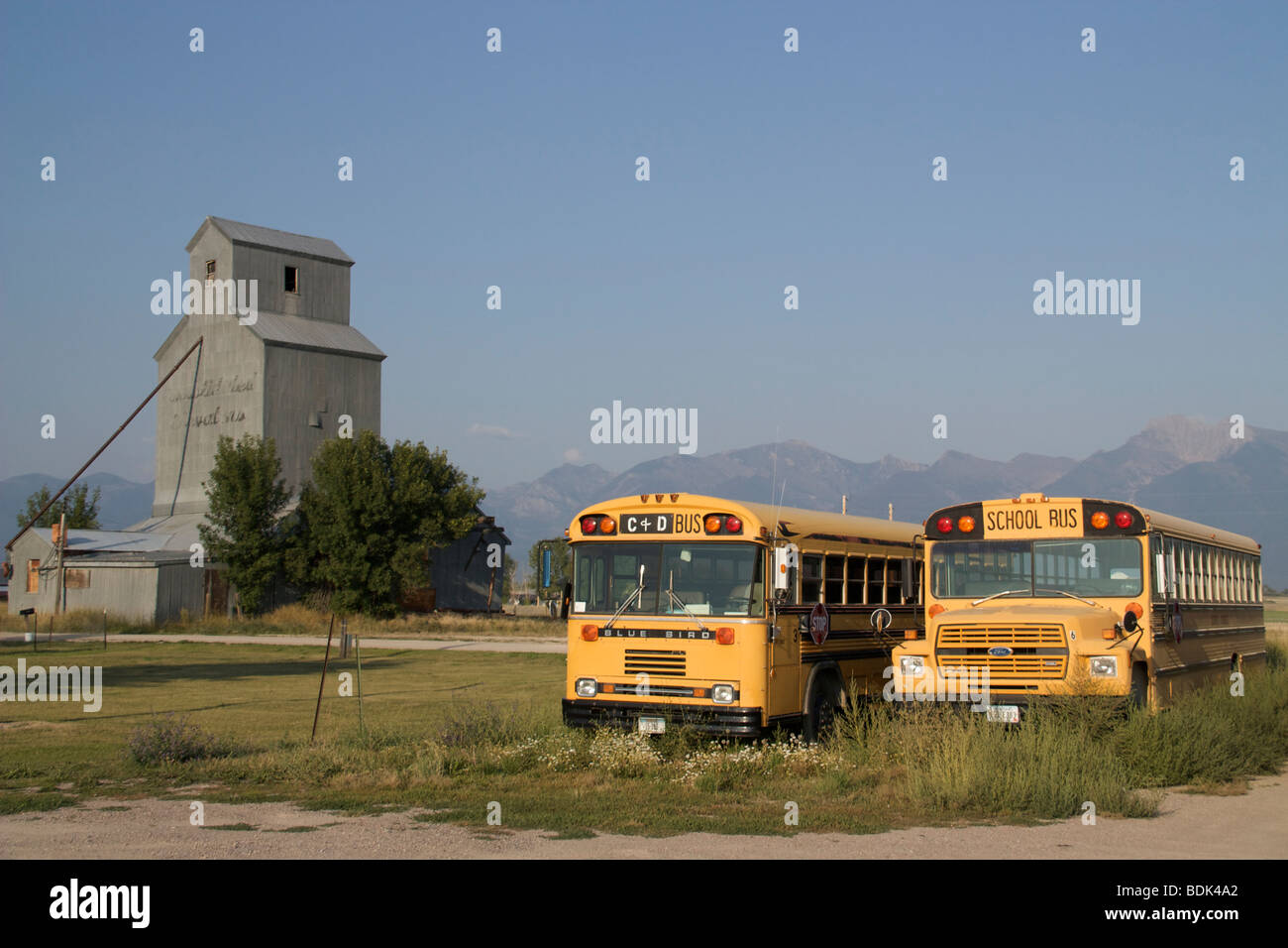 School buses and grain elevator. Charlo, Montana. Mission Mountains in