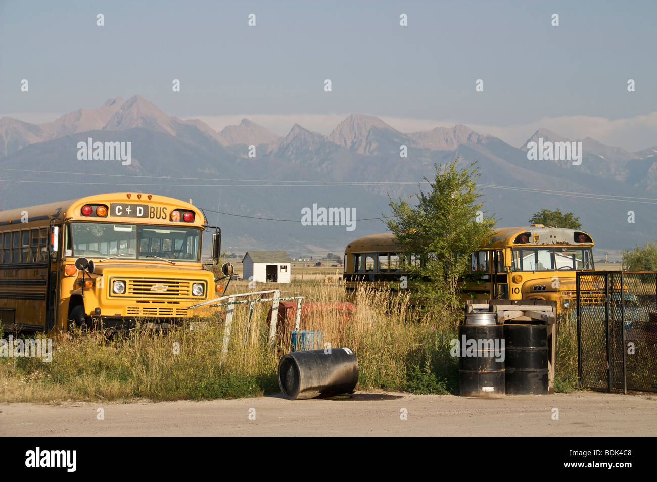 School buses. Charlo, Montana. MIssion Mountains in background Stock