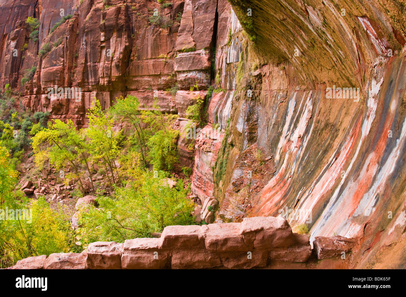 The Weeping Wall, Zion National Park, Utah Stock Photo 25622843 Alamy