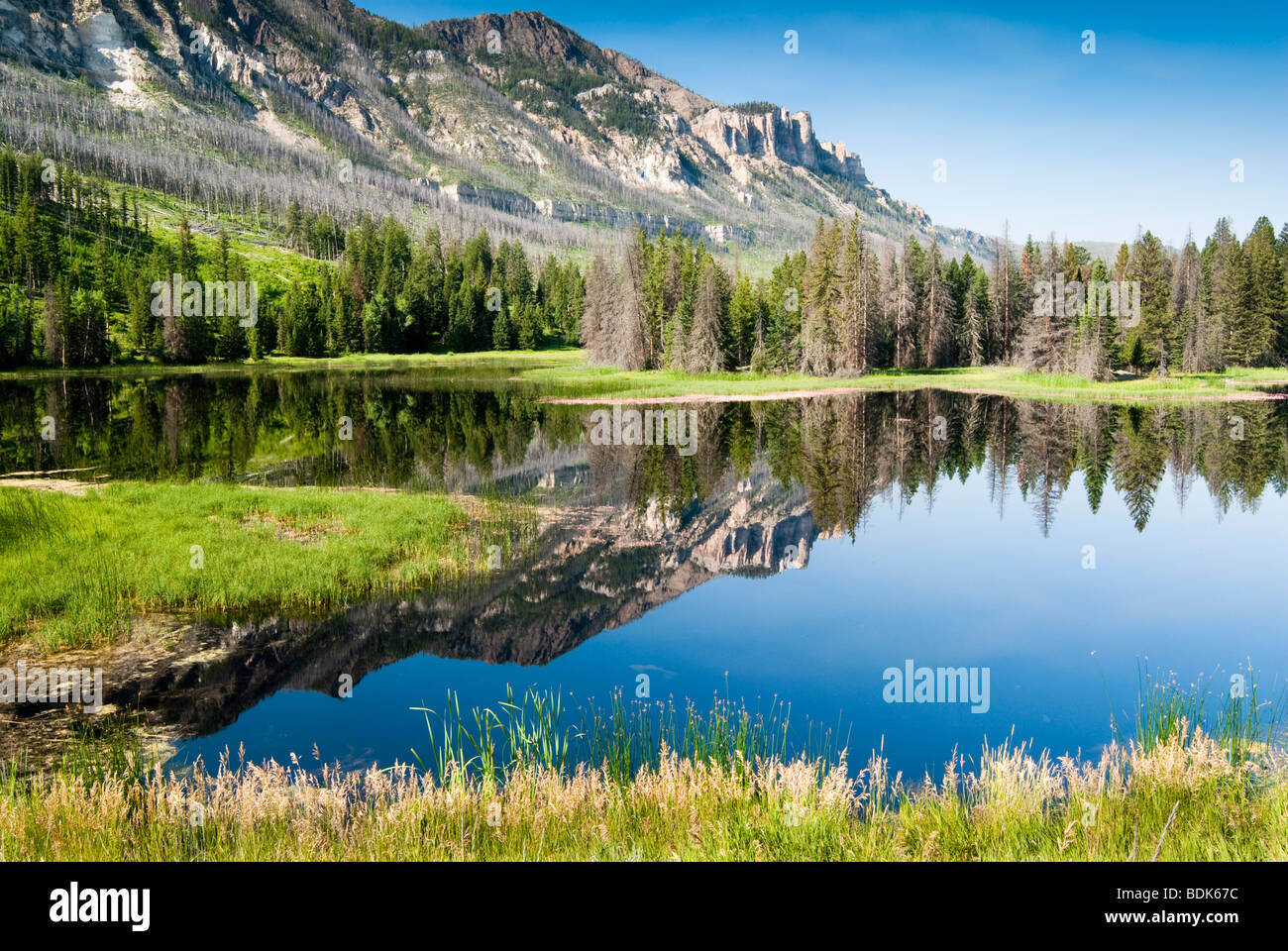 reflections in a lake along Chief Joseph Scenic Byway in Wyoming. Stock Photo