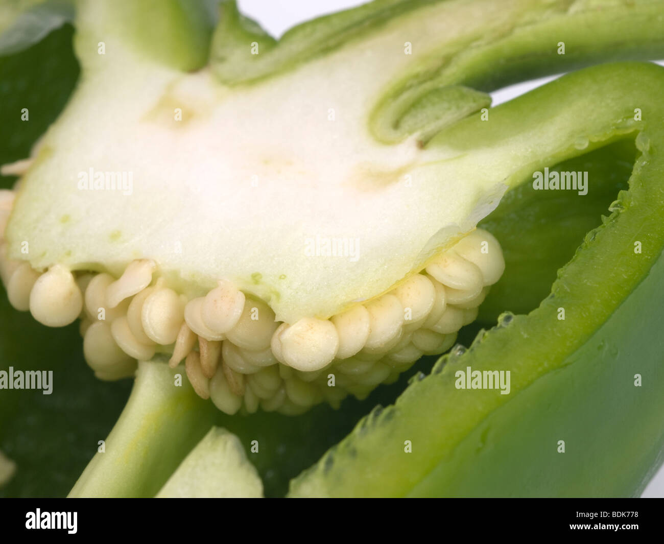 red and green peppers on white background, studio shot Stock Photo - Alamy