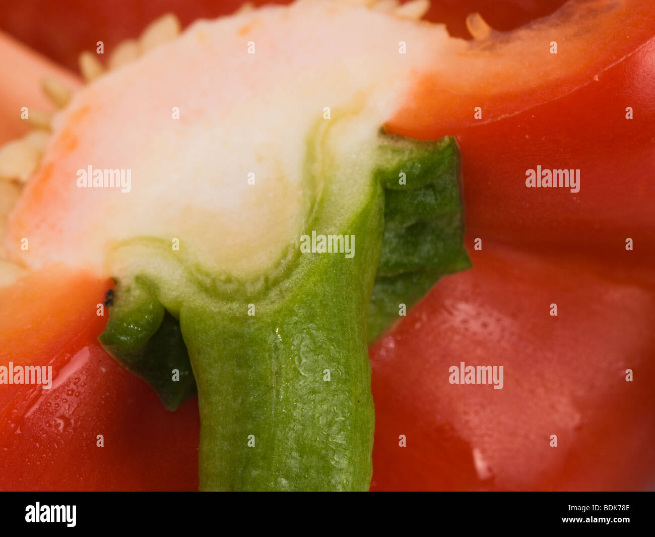 red and green peppers on white background, studio shot Stock Photo - Alamy