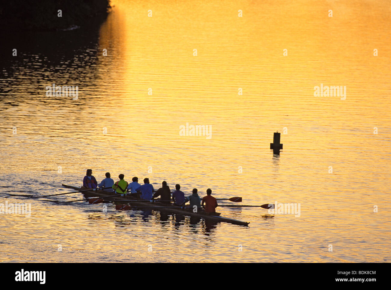 Rowing Crew in shell on Mohawk River, New York Stock Photo - Alamy