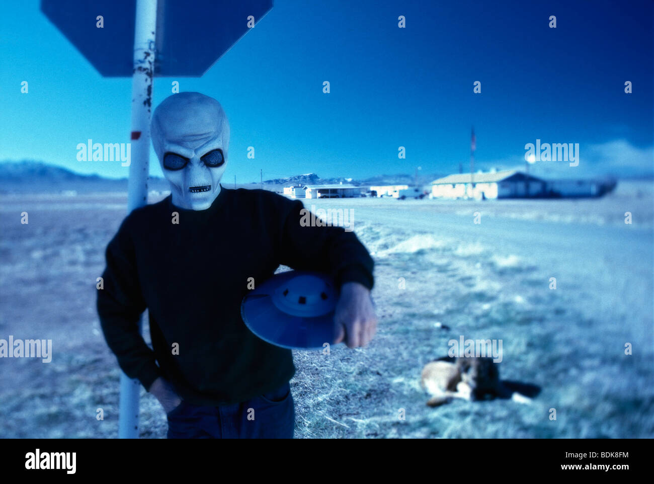 Man posing in Alien costume at Area 51, Rachel, Nevada, Stock Photo