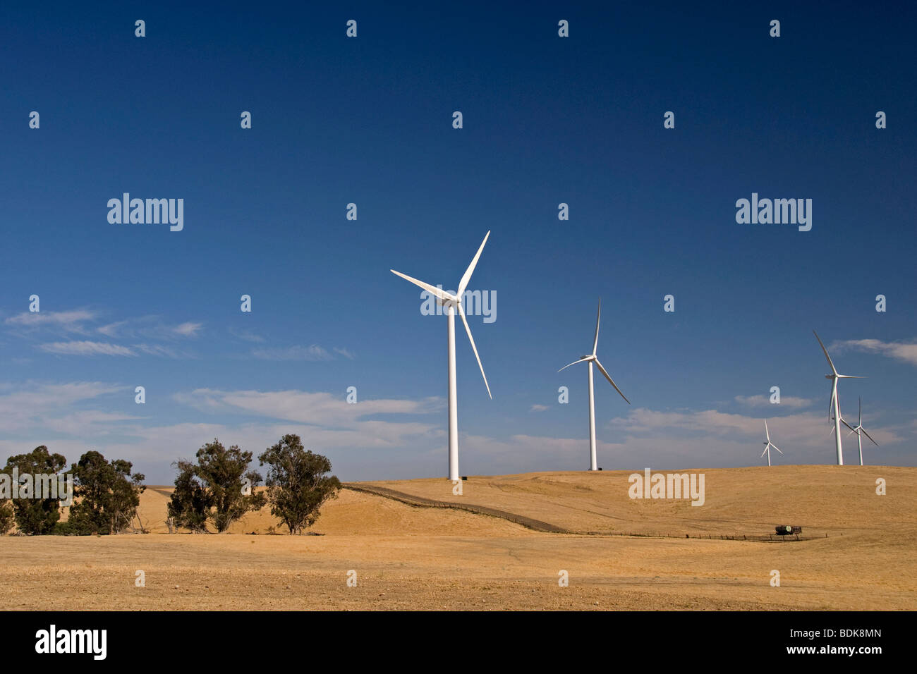 Shiloh Wind Project near Rio Vista, California. Stock Photo