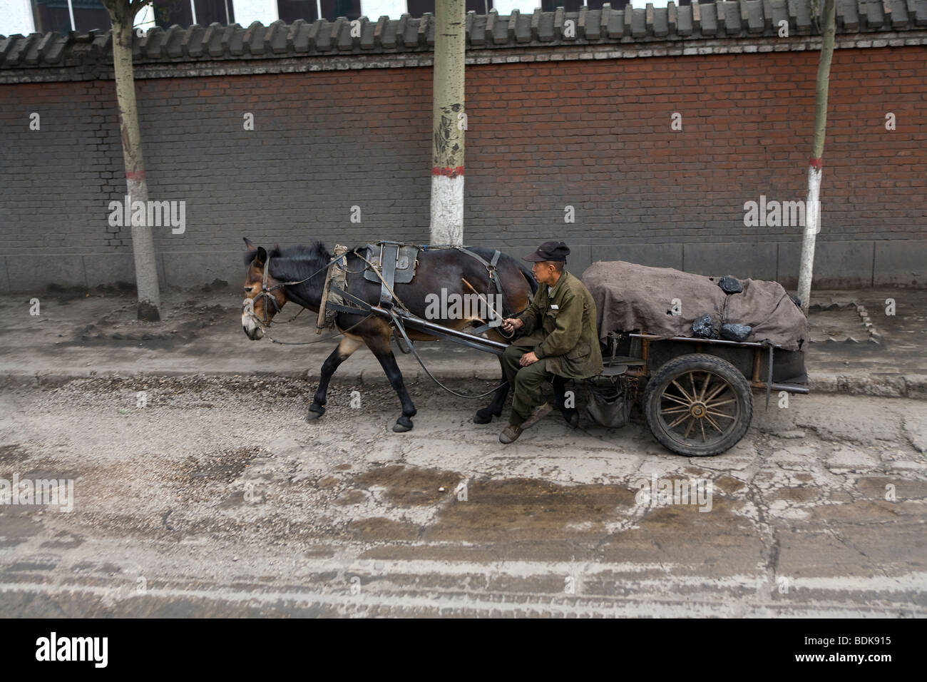 Horse drawn coal cart in the grounds of the Jin Hua Gong coal mine, Datong Stock Photo