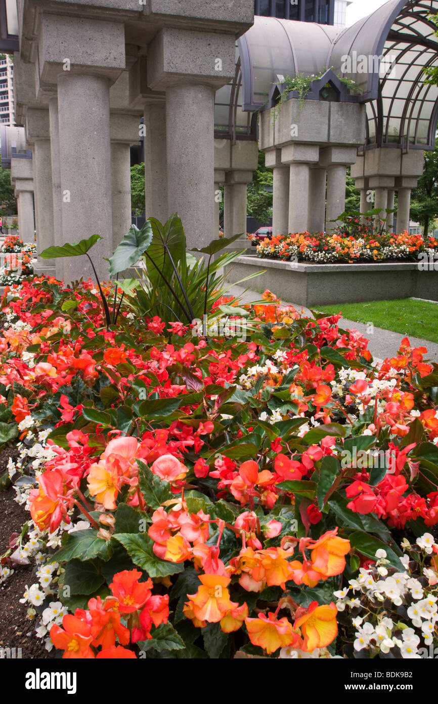 A park in downtown Vancouver, British Columbia, Canada. Stock Photo