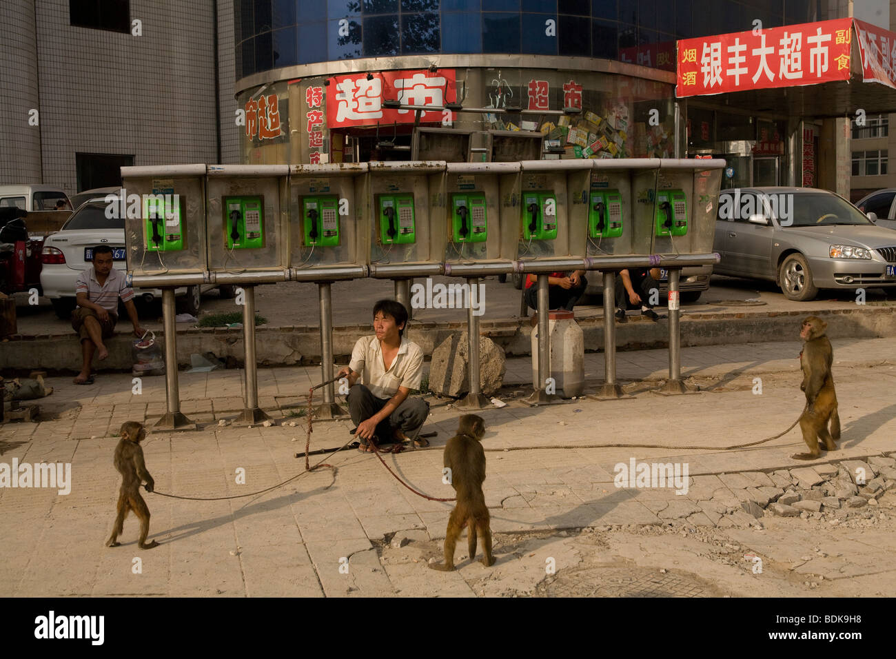 TAIYUAN, SHANXI PROVINCE, CHINA - August 2007: a street circus trainer with his three monkeys performs beside public phones Stock Photo