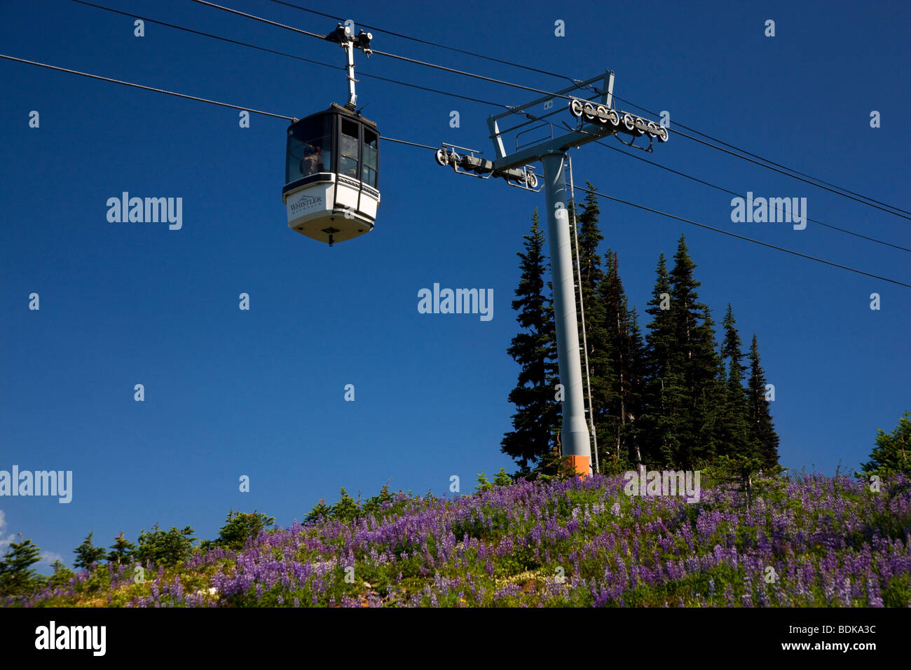 Whistler Village Gondola, Whistler Mountain, Whistler, British Columbia, Canada. Stock Photo