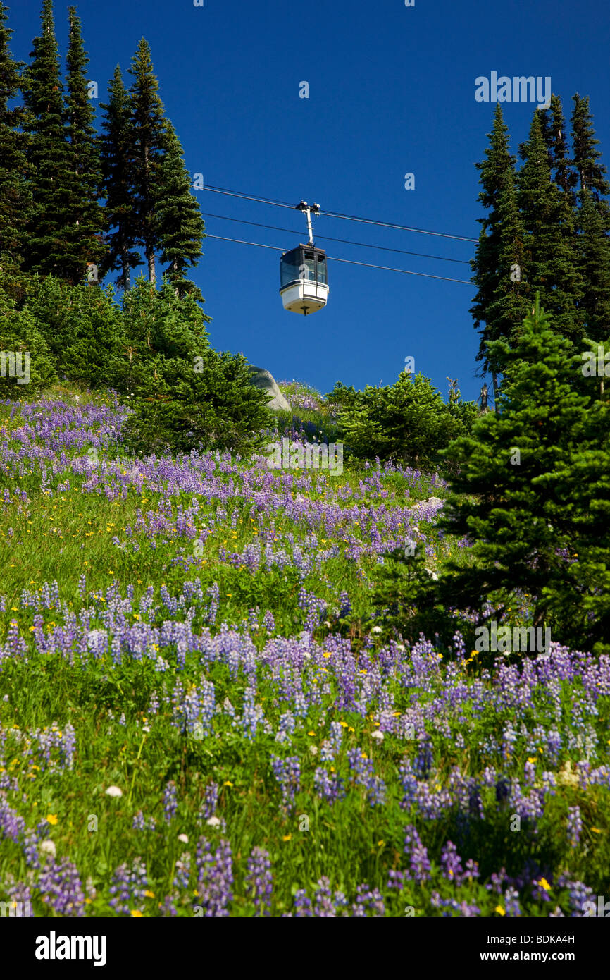 Whistler Village Gondola, Whistler Mountain, Whistler, British Columbia, Canada. Stock Photo
