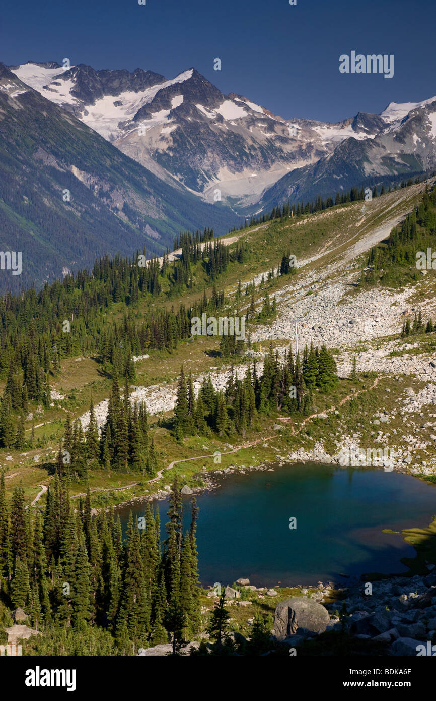 Views from the Harmony Lake Trail, Whistler Mountain, Whistler, British Columbia, Canada. Stock Photo