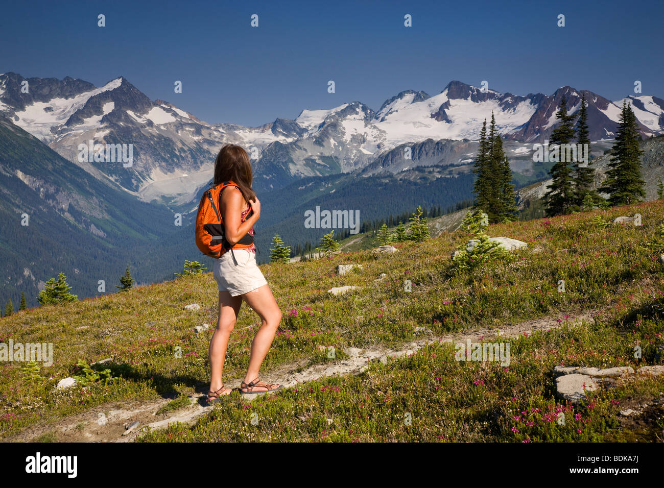 Whistler Mountain Hiking Trails Whistler Mountain Hike Hiker High Resolution Stock Photography And Images -  Alamy