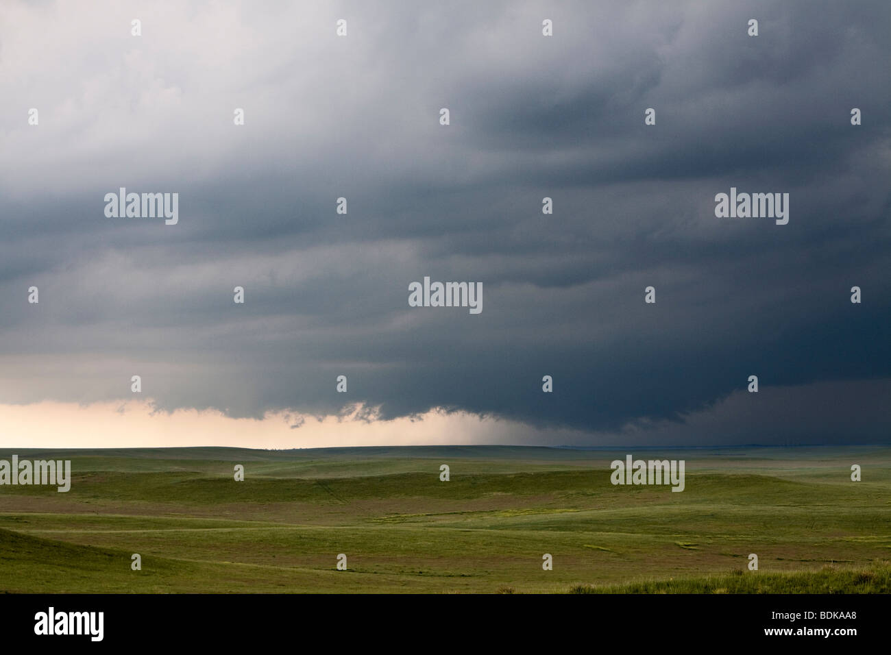 The lowered base of a storm in Goshen County, Wyoming, June 5, 2009. Shot during Project Vortex 2. Stock Photo