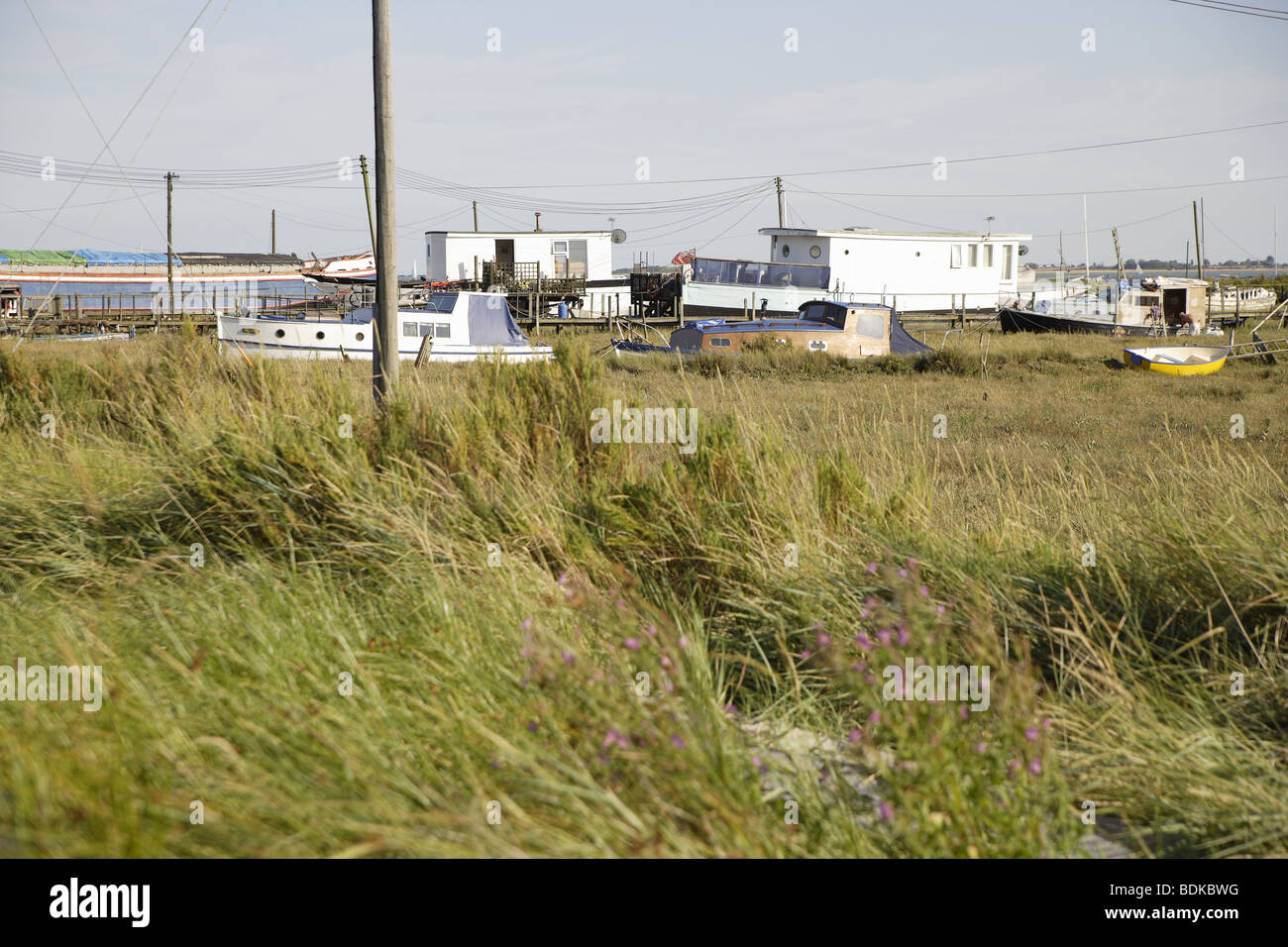 houseboats in long  grasses shoreline mersea island uk Stock Photo