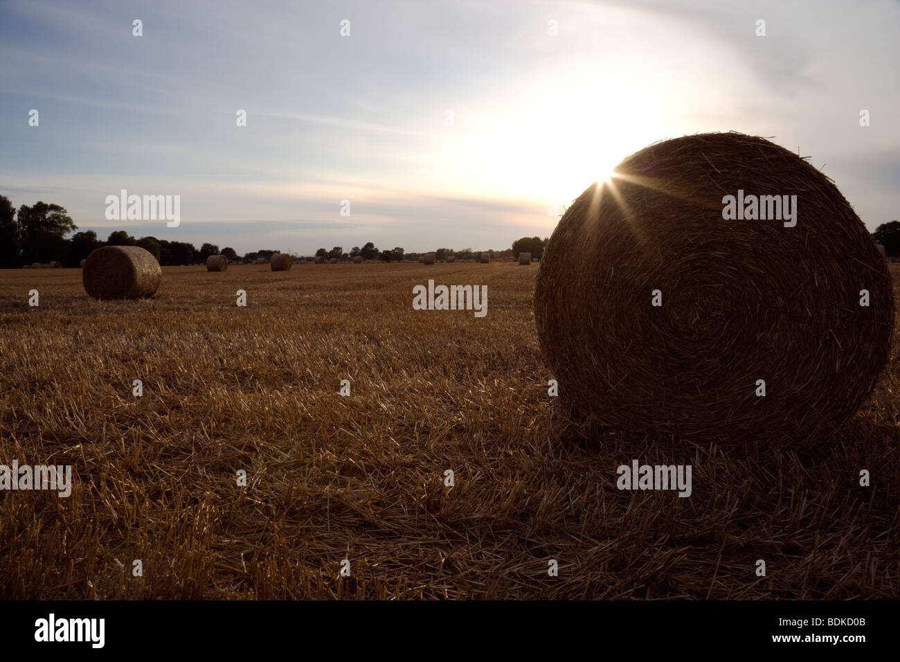 Bales of straw in stubble field near Easingwold, North Yorkshire. Flare