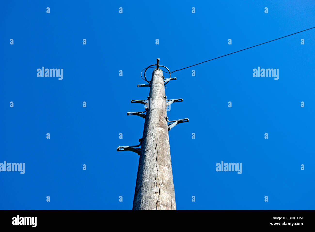 british wooden telegraph pole with footgrips and cable seen against a blue sky Stock Photo