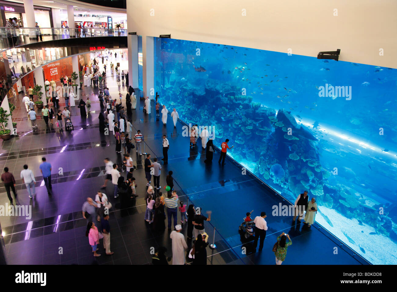 Dubai Aquarium and underwater Zoo, part of Dubai Mall in Downtown Dubai