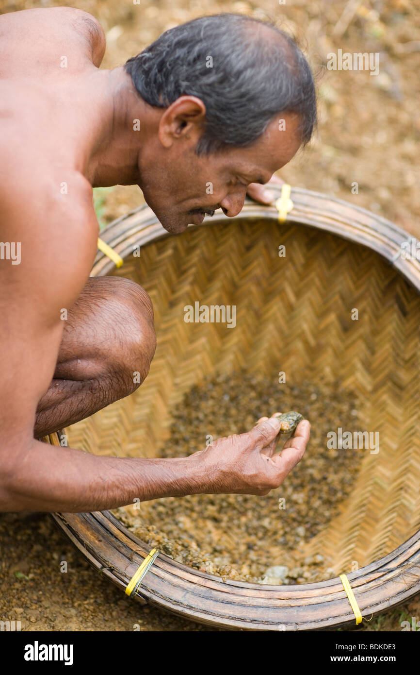 Opencast Gem stone miner examining a find from panning basket. Ratnapura, SW Sri Lanka. Stock Photo