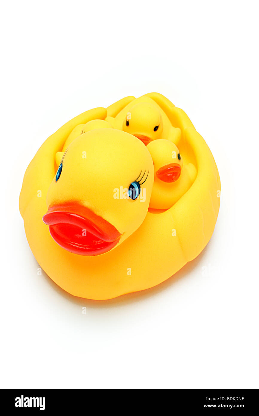 Cute rubber ducklings piggy back ride on mother duck Stock Photo