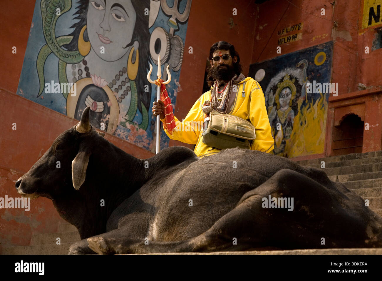A Sadhu holds a trident and stands on steps (ghats) in the Indian city of Varanasi (Benares). A cow sits next to him. Stock Photo
