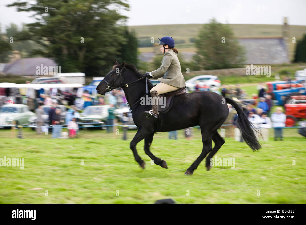 Bellingham country show horse riding Stock Photo Alamy