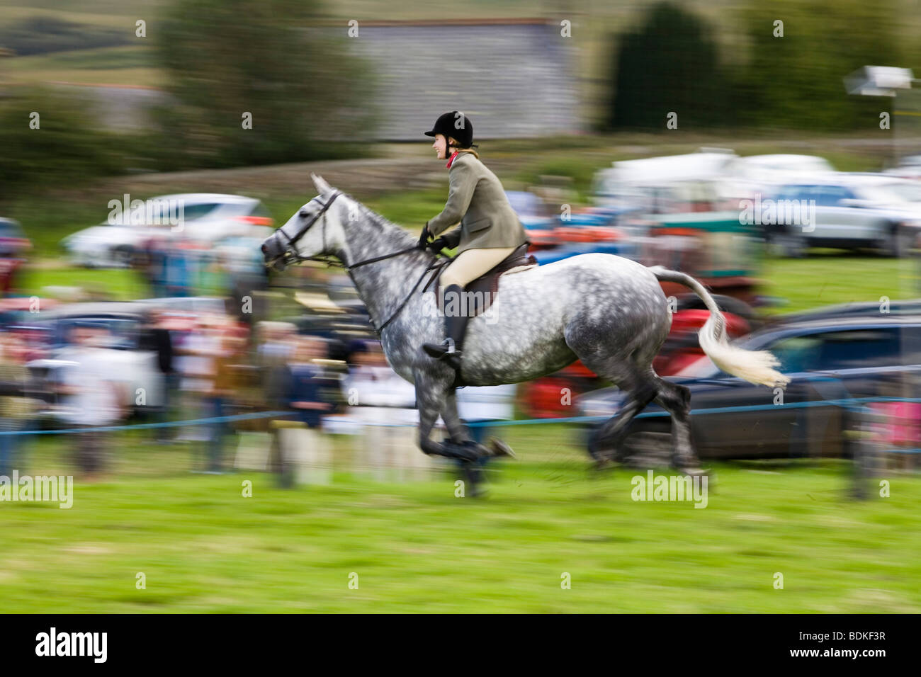 Bellingham show country horse riding Stock Photo Alamy
