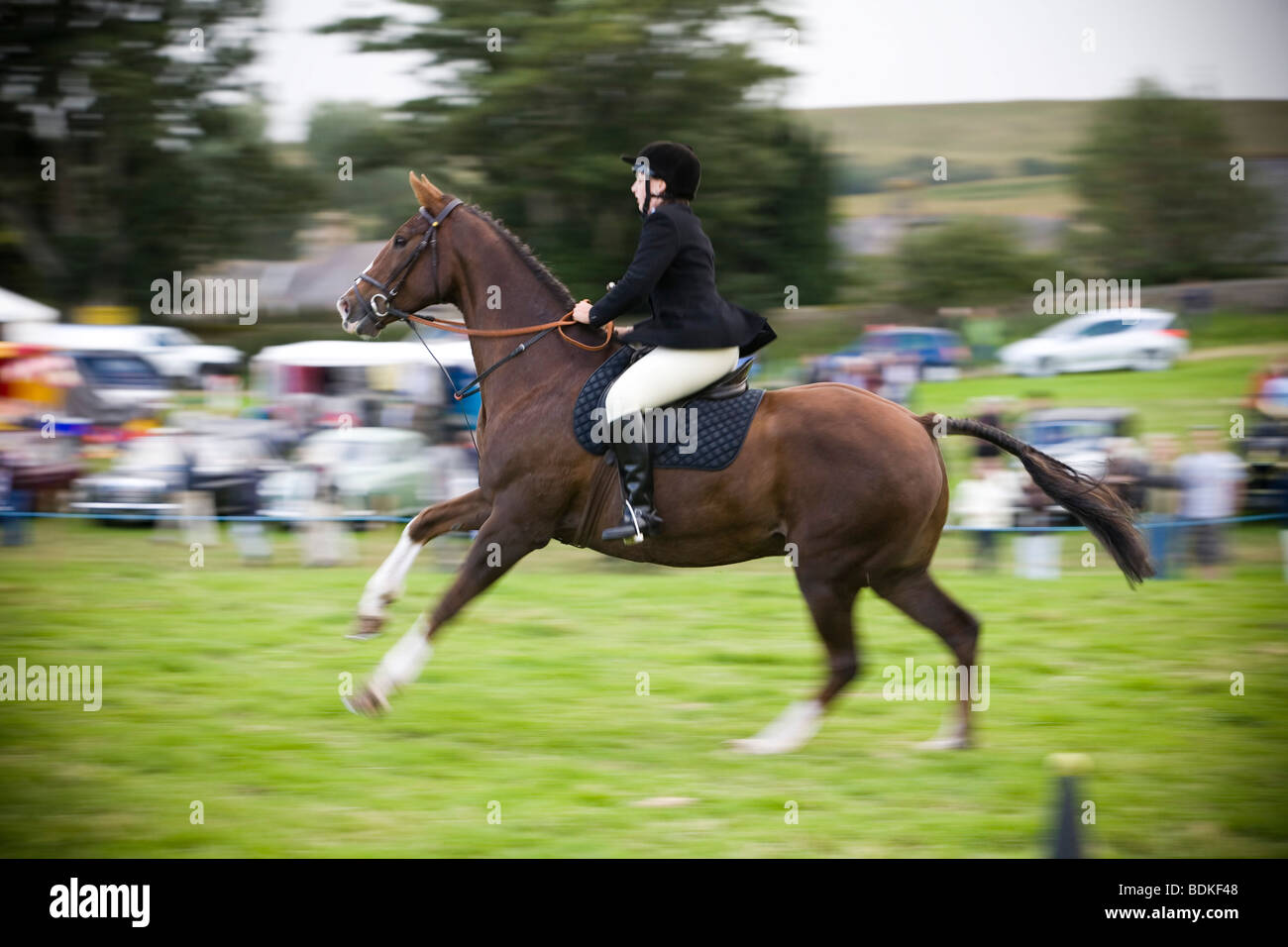 Bellingham country show horse riding Stock Photo Alamy