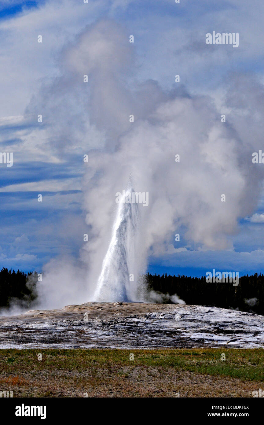 Old Faithful geyser blowing in Yellowstone national park Stock Photo
