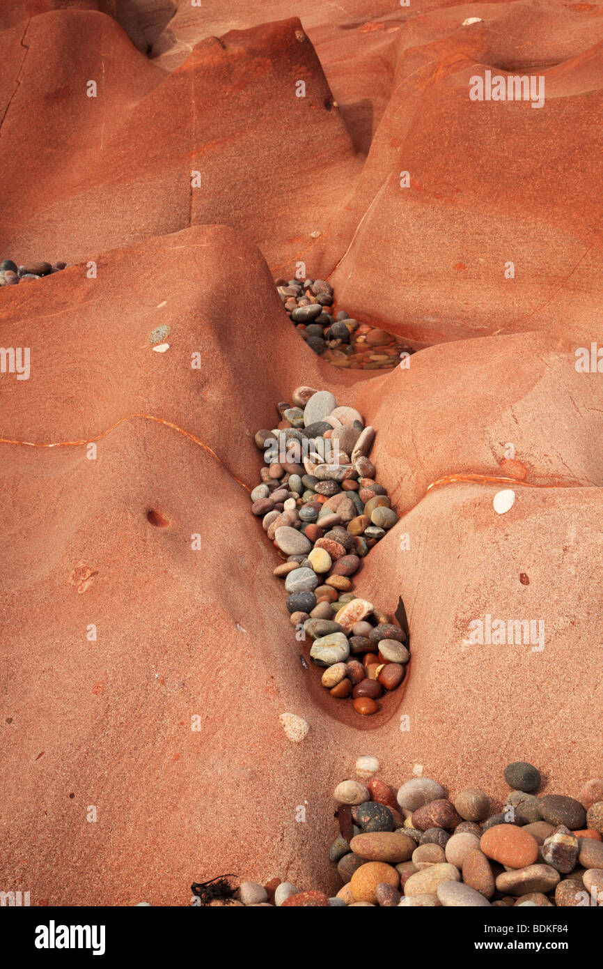 Erosion of red sandstone with pebbles in a crevice. Auchmithie beach ...
