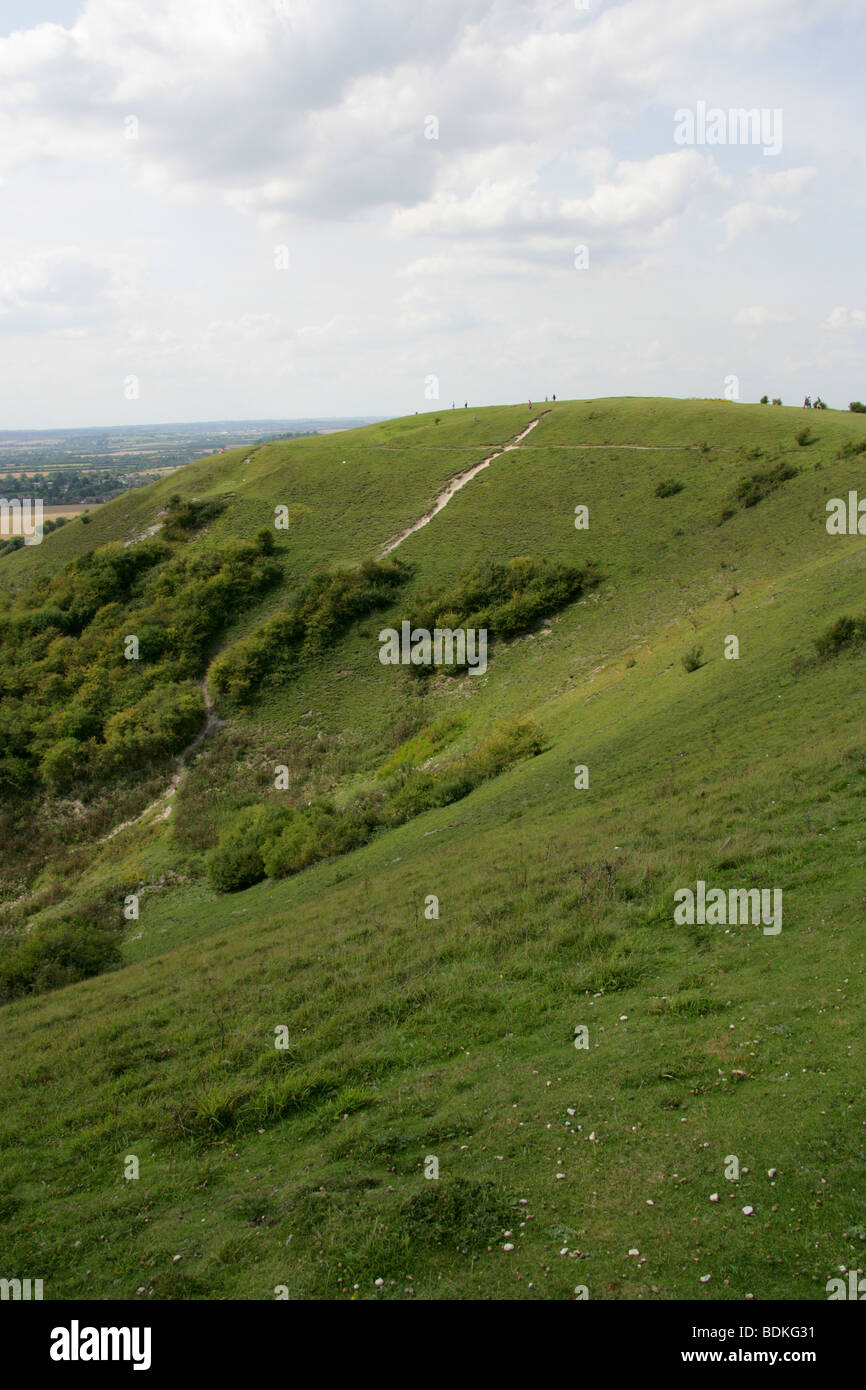 Dunstable Downs, A Chalk Escarpment in the Chilterns, Bedfordshire, UK