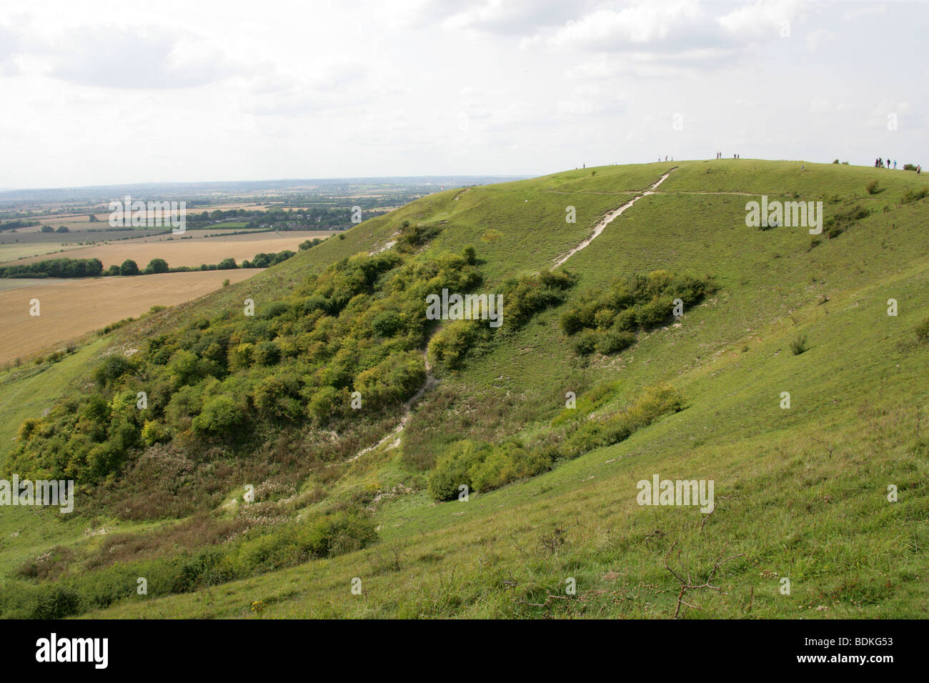 Dunstable Downs, A Chalk Escarpment in the Chilterns, Bedfordshire, UK